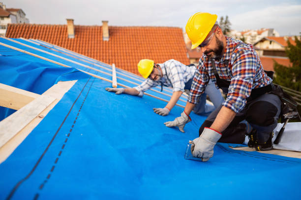 Best Rubber Roofing (EPDM, TPO)  in Pinckney, MI