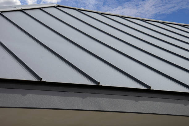 Best Roof Moss and Algae Removal  in Pinckney, MI